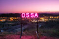 “OSSA” è il nuovo singolo de "LA MONARCHIA"
