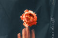 "L'Amore che resta" è il nuovo singolo pop di Enrico Costa, disponibile dal 18 ottobre