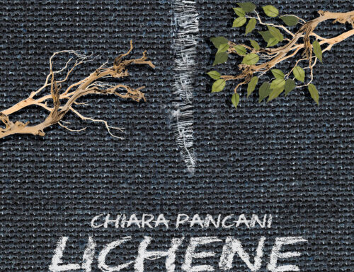 Testo: Chiara Pancani – Lichene